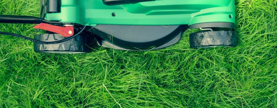 Gardening in Tunbridge Wells cutting the grass with a lawnmower