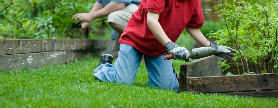 knee pain when gardening in Tunbridge Wells knee pain when gardening in Tunbridge Wells