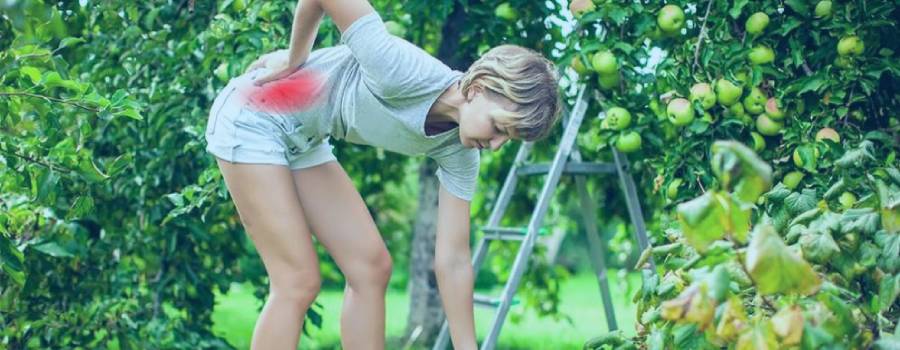 top 5 gardening injuries and back pain in tunbridge wells