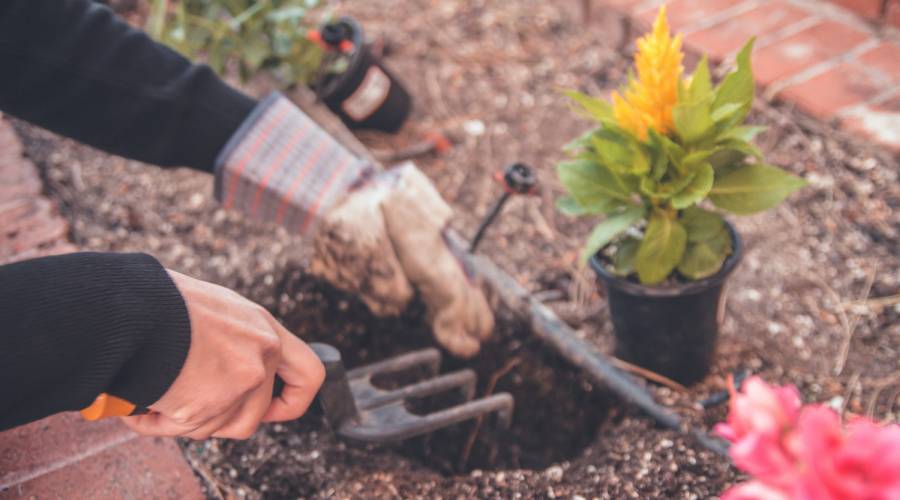 wrist pain gardening tunbridge wells wrist and knee pain gardening
