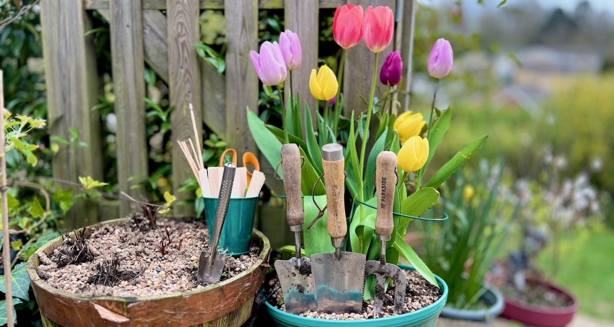 tulips and trowels